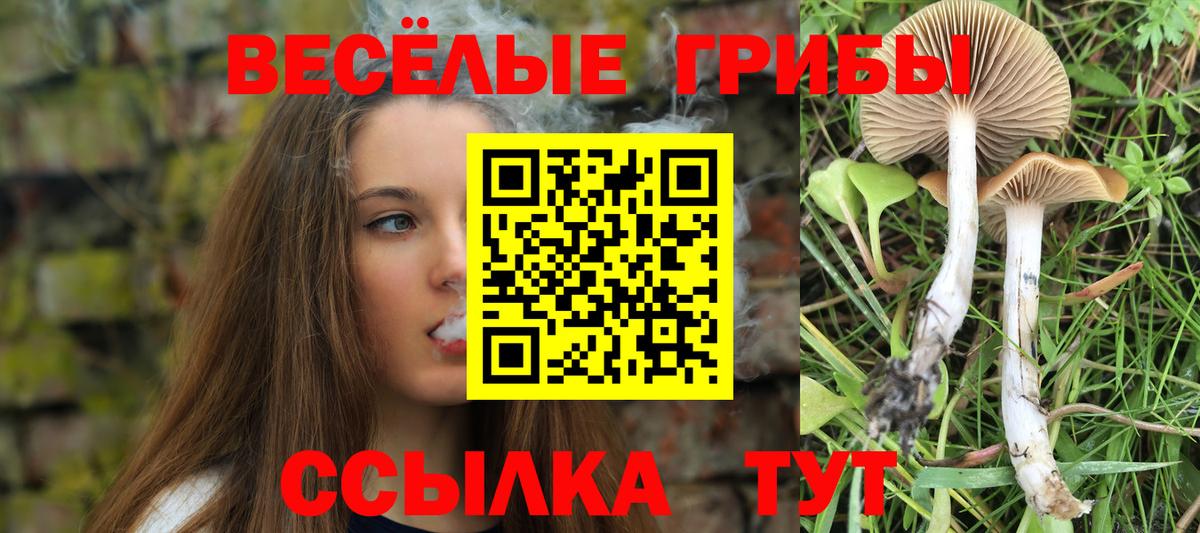 Галлюциногенные грибы MAGIC MUSHROOMS  Вход с VPN  как найти закладки  Касимов 